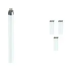 Confezione Multipack 10x Philips MASTER TL5 HE 14W - 865 Luce del Giorno | 55cm